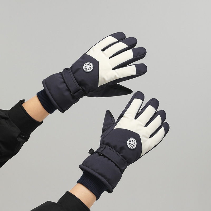 Koudbestendige winterskihandsc - Ski Glove Waterproof recensie en prijs