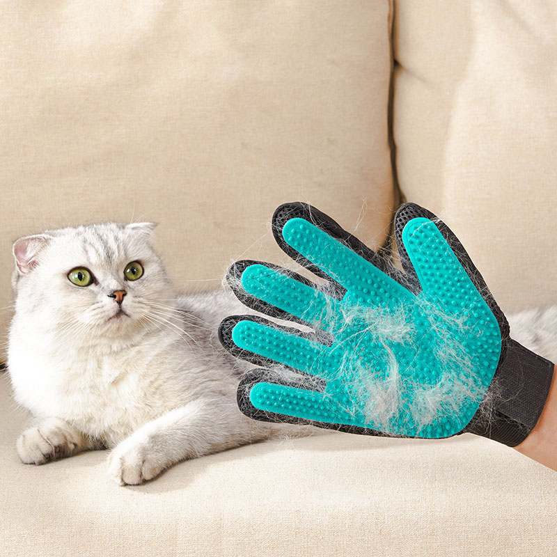 Huisdierverzorgingshandschoen, - Rubber Glove Cleaning recensie en prijs