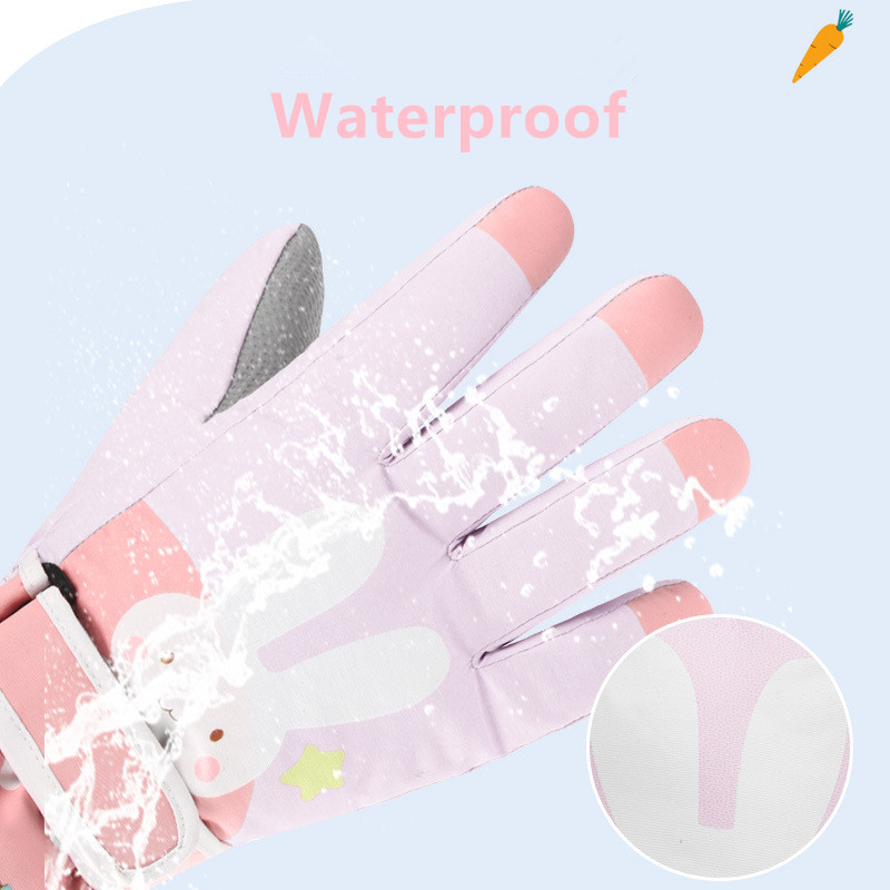 Wintersneeuwskihandschoenen vo - Winter Glove Insulated recensie en prijs
